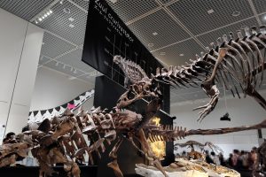 ズール VS ゴルゴサウルス
