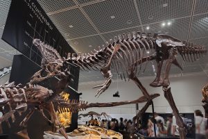 ズール VS ゴルゴサウルス